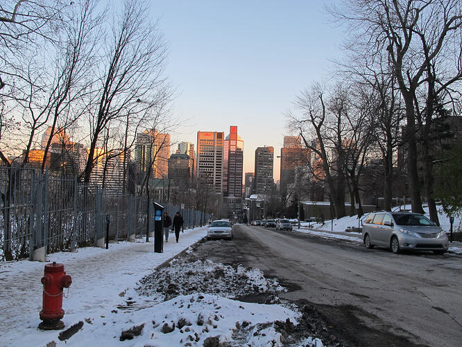 24_skyline-through-the-trees
