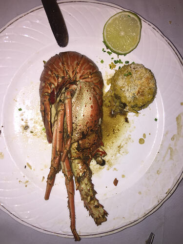 22_grilled-lobster