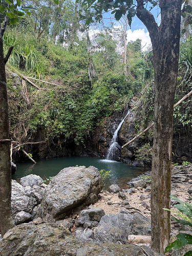 el-nido-waterfall-jungle-swimming-hole