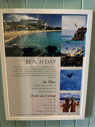 Friday - Beach Day