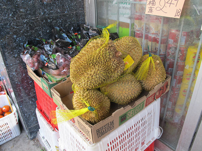 17_durian-in-chinatown