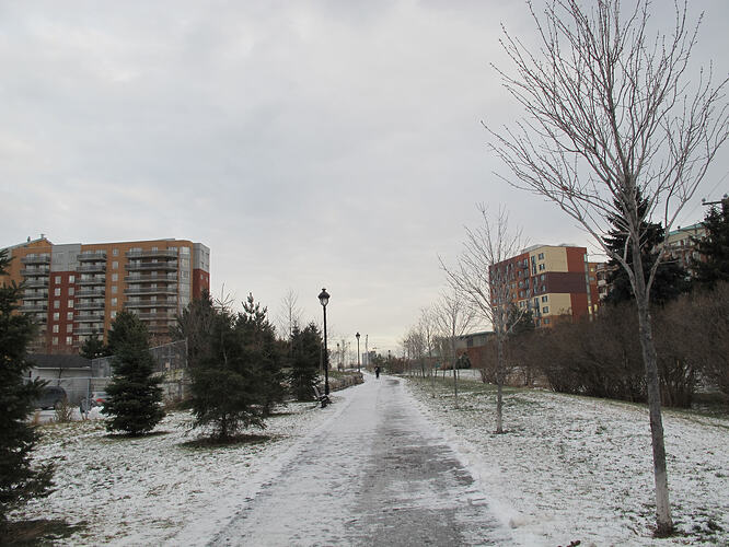 05_park-path-in-snow