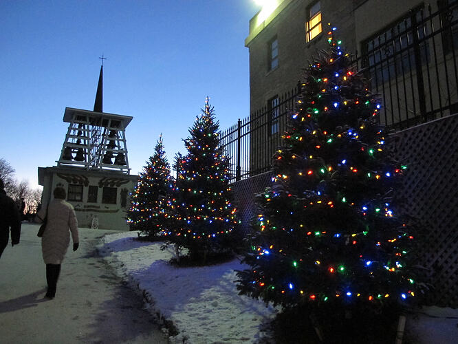 23_christmas-trees-at-the-oratory