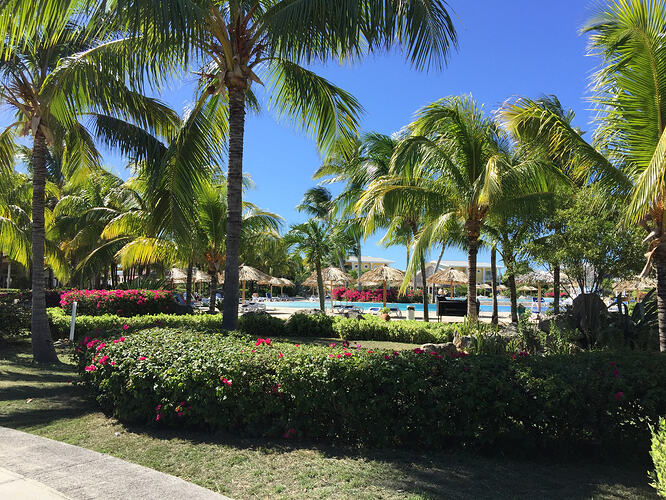 14_cayo-resort-in-the-palms