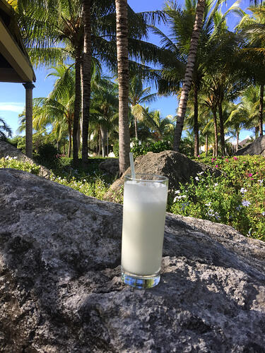 23_pina-colada-on-a-rock